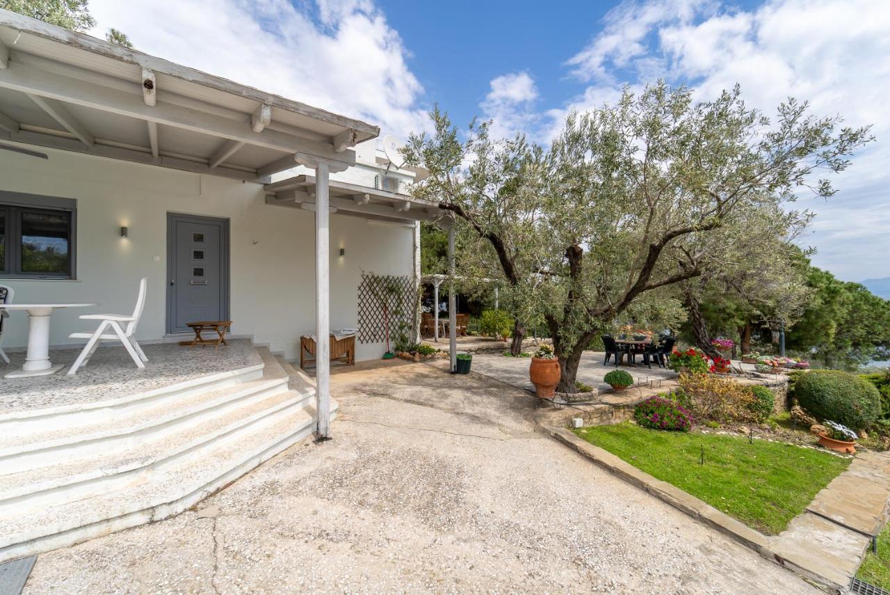 Villa Elia Kavala - Mediterranean Holiday Villa PalaiónTsiflíkion المظهر الخارجي الصورة