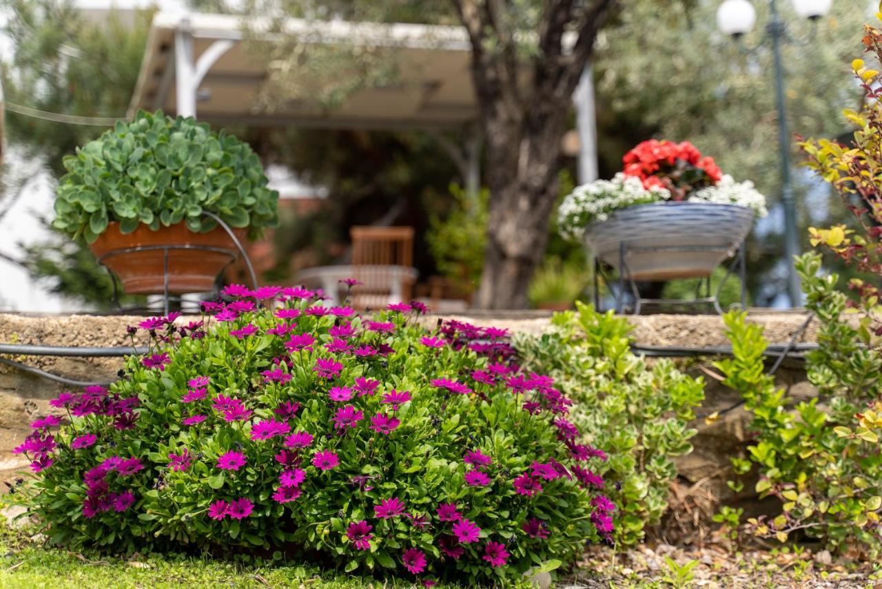 Villa Elia Kavala - Mediterranean Holiday Villa PalaiónTsiflíkion المظهر الخارجي الصورة