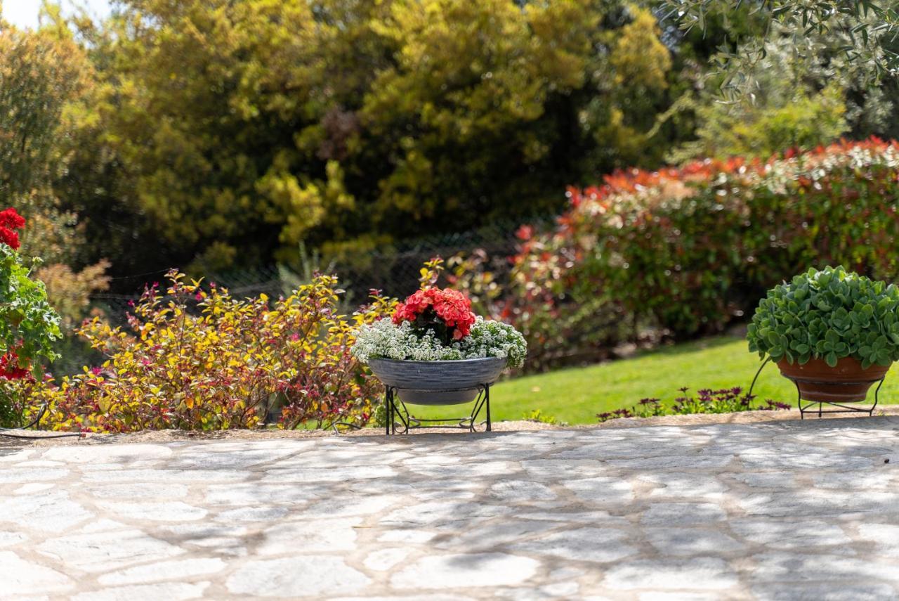 Villa Elia Kavala - Mediterranean Holiday Villa PalaiónTsiflíkion المظهر الخارجي الصورة