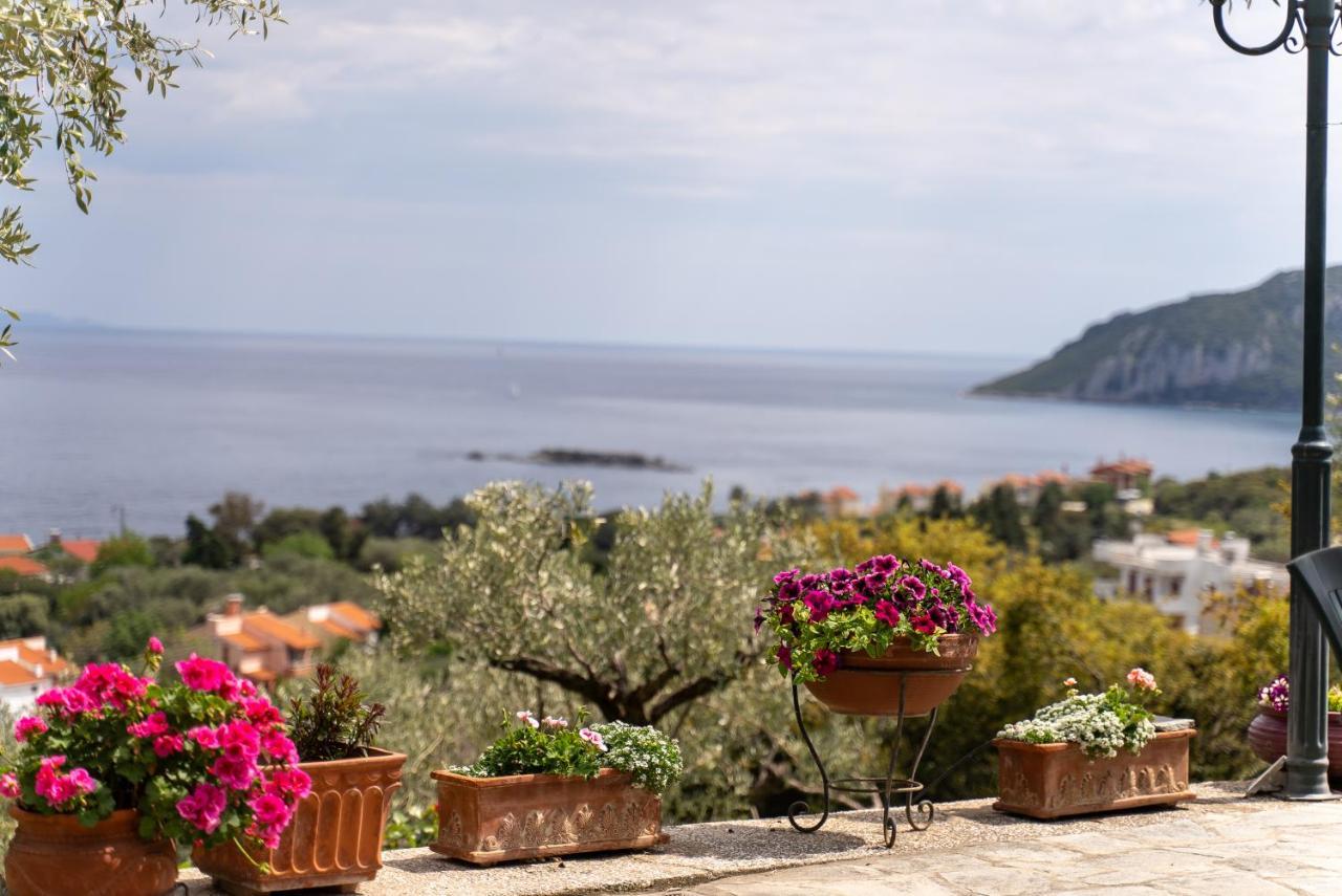 Villa Elia Kavala - Mediterranean Holiday Villa PalaiónTsiflíkion المظهر الخارجي الصورة
