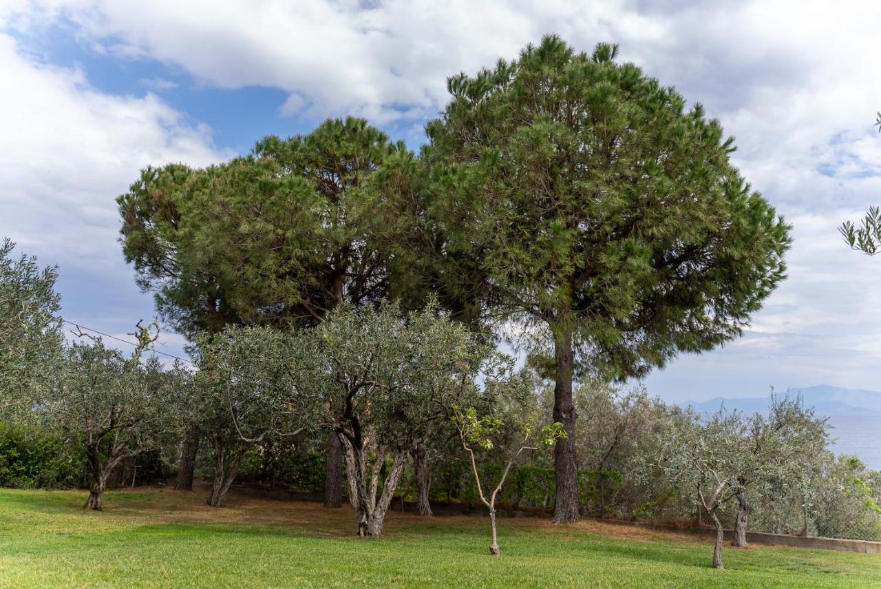 Villa Elia Kavala - Mediterranean Holiday Villa PalaiónTsiflíkion المظهر الخارجي الصورة