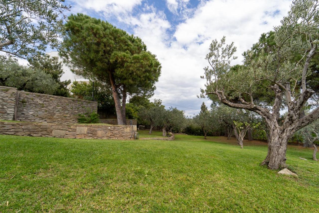 Villa Elia Kavala - Mediterranean Holiday Villa PalaiónTsiflíkion المظهر الخارجي الصورة