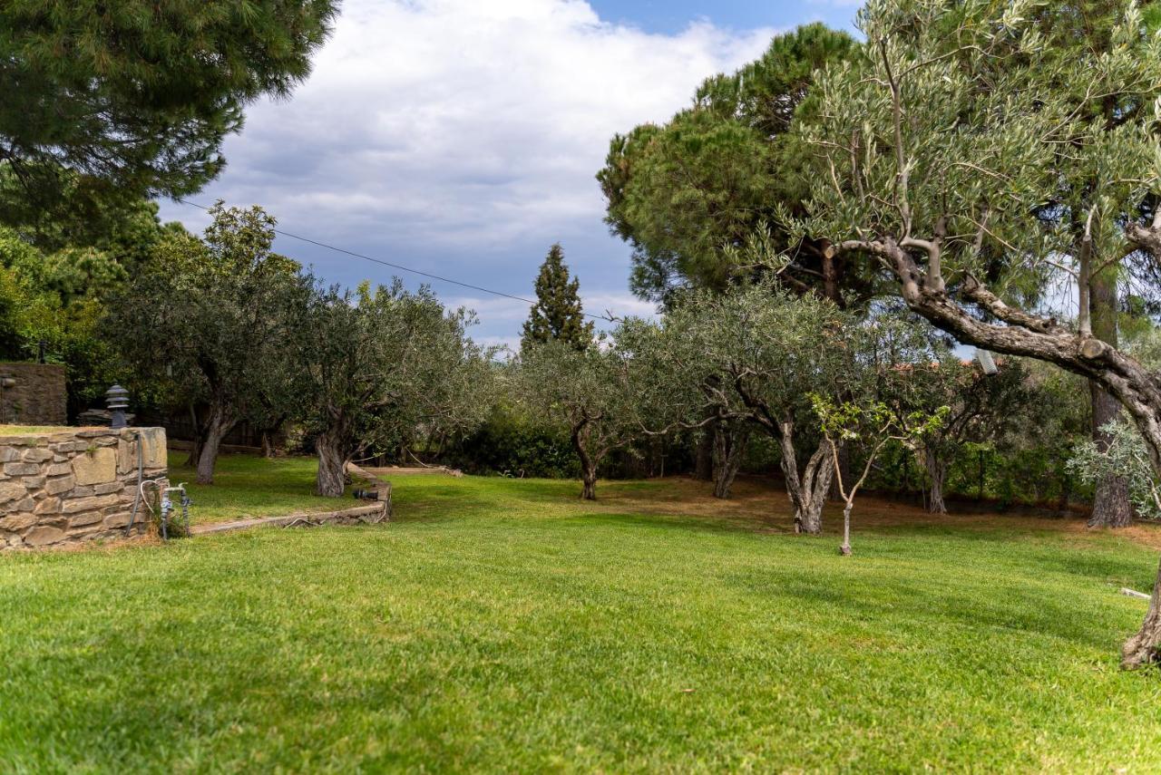 Villa Elia Kavala - Mediterranean Holiday Villa PalaiónTsiflíkion المظهر الخارجي الصورة